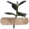 🌿