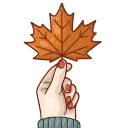 🍂