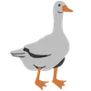 🪿