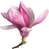 🤩