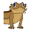 🦎