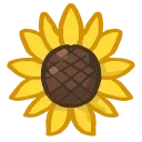 🌻