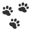🐾