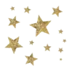 ✨