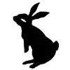 🐇