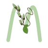 🔤