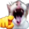 ✋