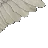 ⭐