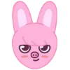 🐷