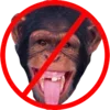 🦍