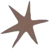 ⭐️