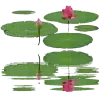 🌸