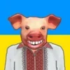 🐷
