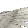 ⭐