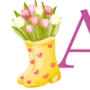 🌷