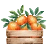 🍊