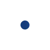 🔹