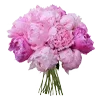 💐