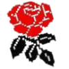 🌹