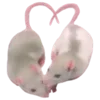 🐁
