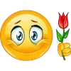 🌹