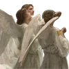 🕊️