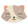 😹