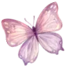 🦋