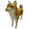 🐶