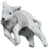 🐑