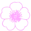 🌸