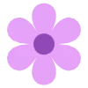 🌸