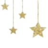🌟
