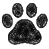 🐾