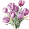 🌷