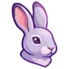 🐰