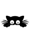 😺