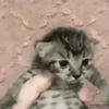 😨