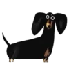 🐕
