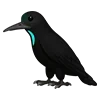 🦜