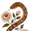 🐍