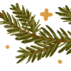 🌲