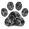 🐾