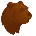 🐻