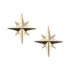 🌟