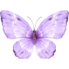 🦋