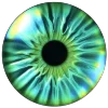 👁️