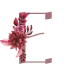 🌺
