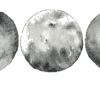 🌜
