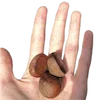 🌰